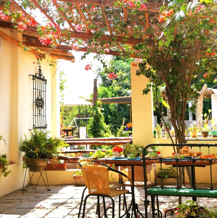Luchy'S Country House Ica Exterior foto
