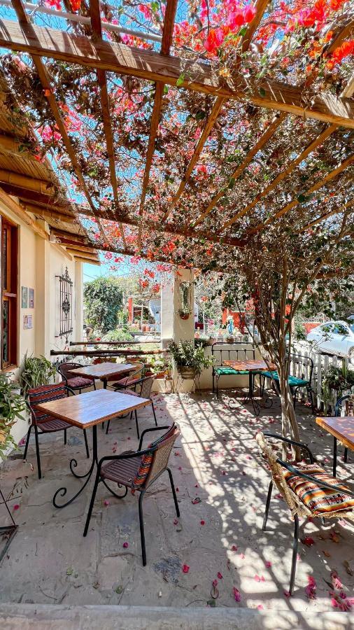 Luchy'S Country House Ica Exterior foto